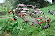 Previously Owned  &copy; Bill Horne