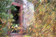 The Shaft &copy; Bill Horne
